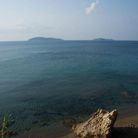 Aphrodite Skiathos Megali Ammos  Buitenkant foto