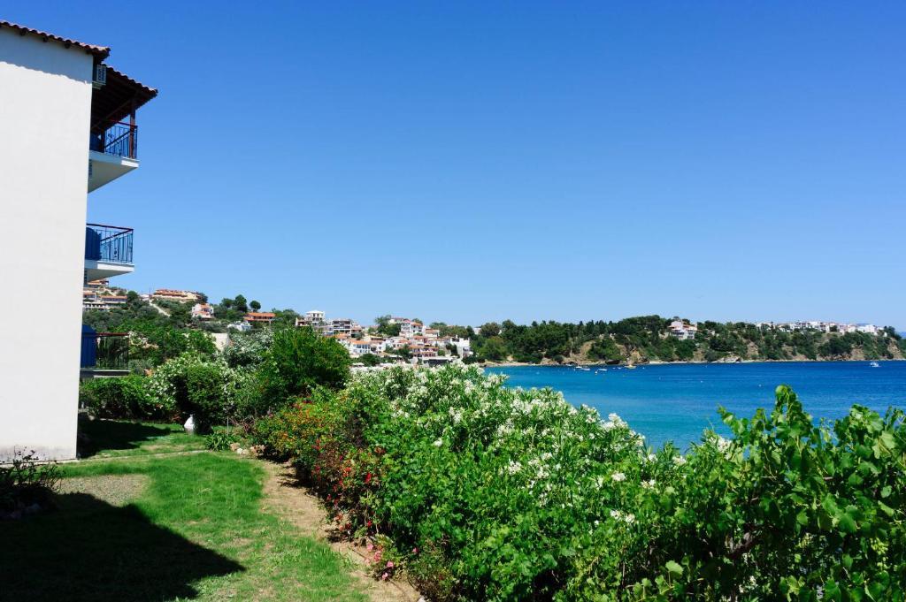 Aphrodite Skiathos Megali Ammos  Buitenkant foto