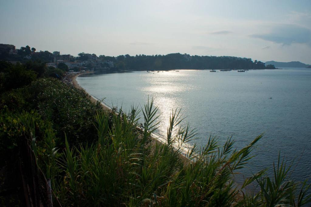 Aphrodite Skiathos Megali Ammos  Buitenkant foto