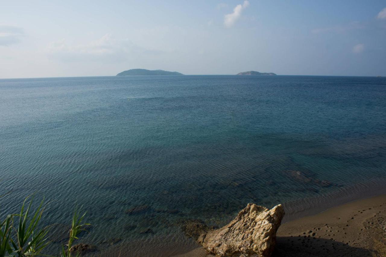 Aphrodite Skiathos Megali Ammos  Buitenkant foto
